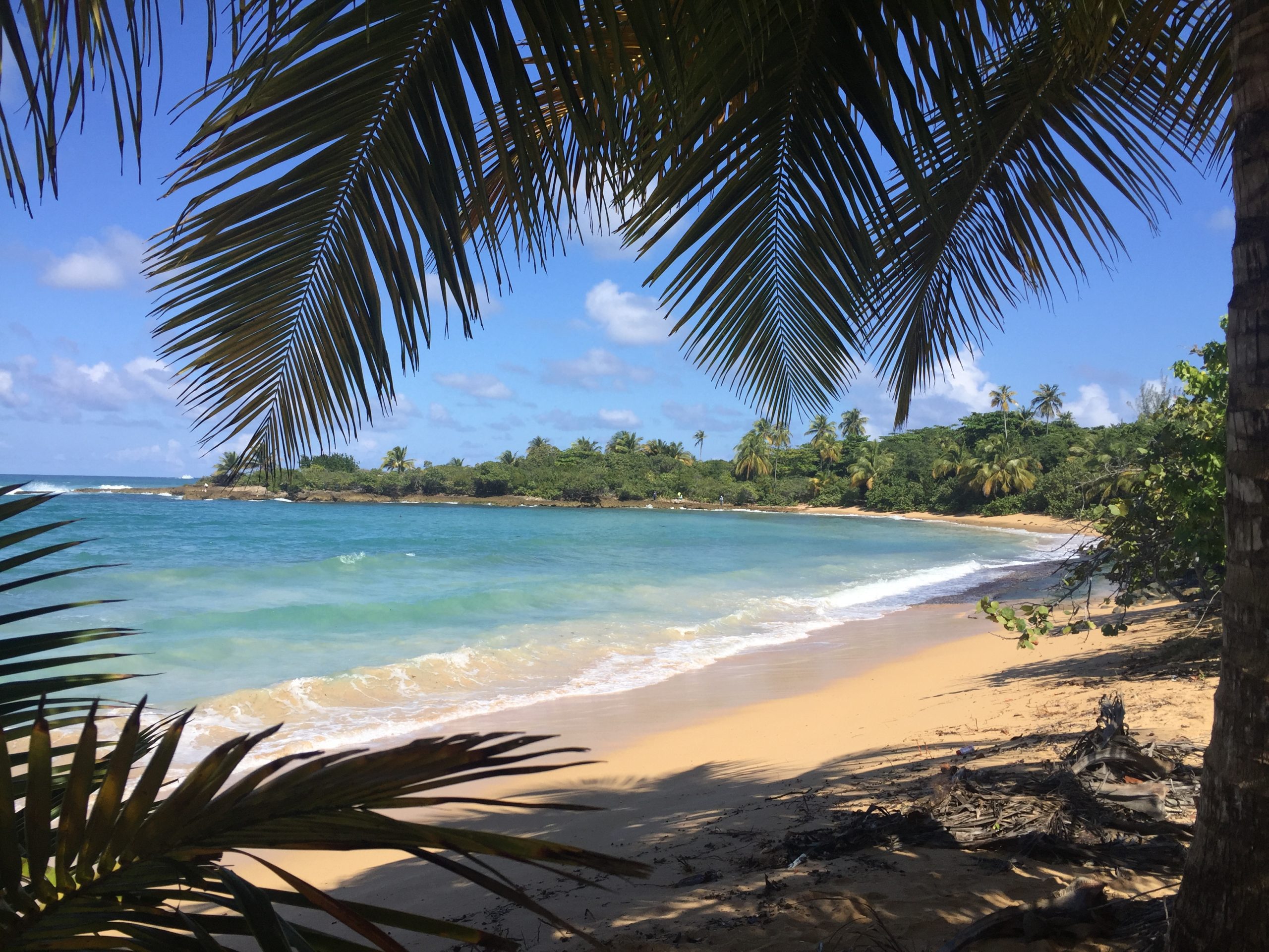 Exploring Puerto Rico by Car