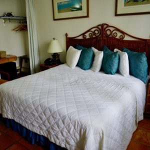 Accessible King Deluxe Room at Acacia Boutique Hotel featuring spacious layout and comfortable amenities.