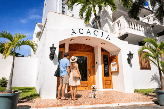 Pet-Friendly Hotels in San Juan, Puerto Rico: The Complete Guide for Families Traveling with Pets (2026)